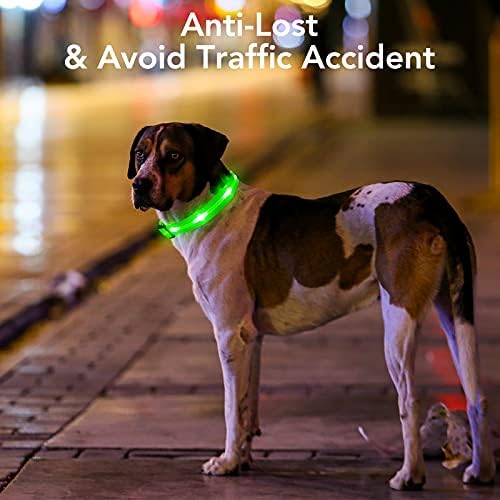 Weesiber led нашийник за кучета, Акумулаторна батерия и USB-яка с осветление за нощни разходки, Ярко Светещи в тъмното за малки кучета е среден (Зелен, голям нашийник)