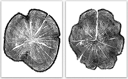Пръстени на дървета в Минималистичен Стенен декор - Комплект от 2 черно-бели пръстени за Пъна, Плакати за домашен| Офис