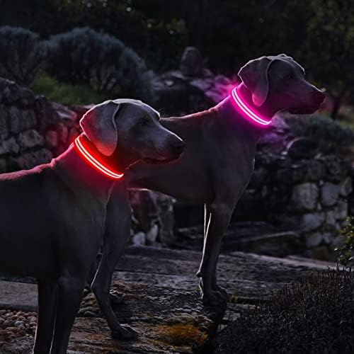 Нашийници за кучета с подсветка PcEoTllar на нощ, Светлина Нашийник за кучета Акумулаторни Водоустойчив Мигащи led Нашийници